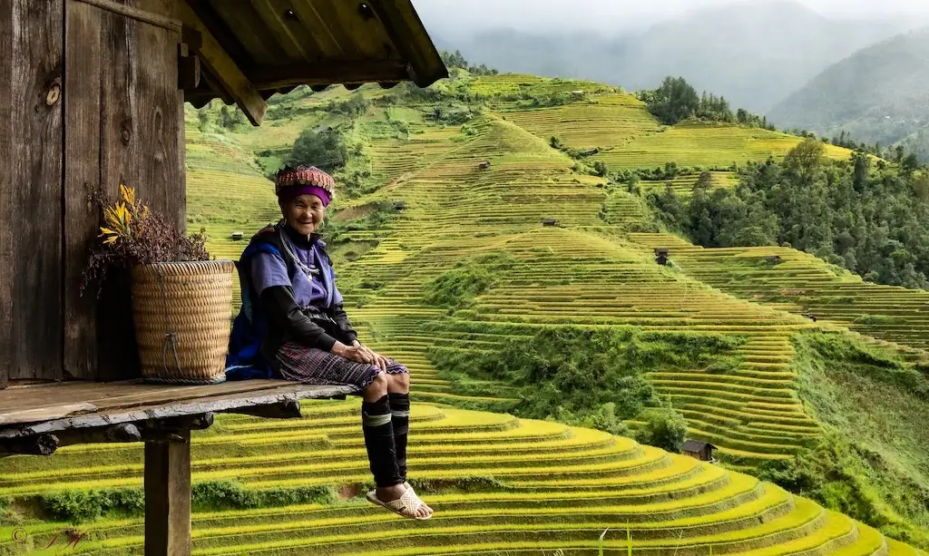 Old woman sitting overlooking a rice paddy in Mu Cang Chai, Vietnam.