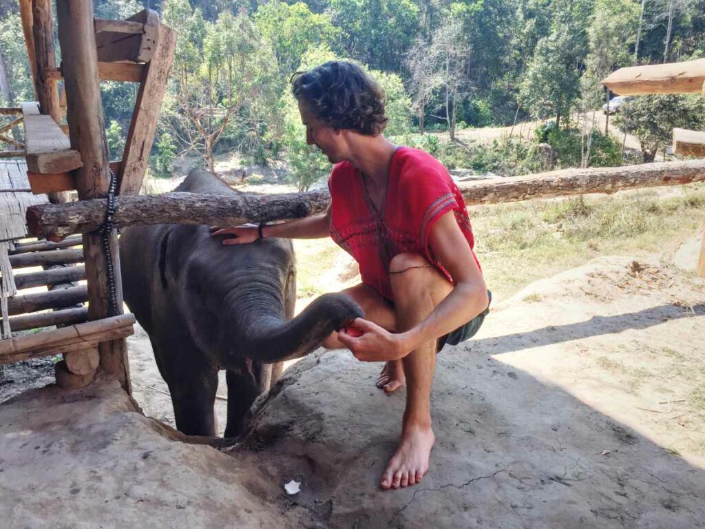 Harry Dale (solo traveller and founder of Nomadic Yak) pats an elephant in Chiang Mai, Thailand.