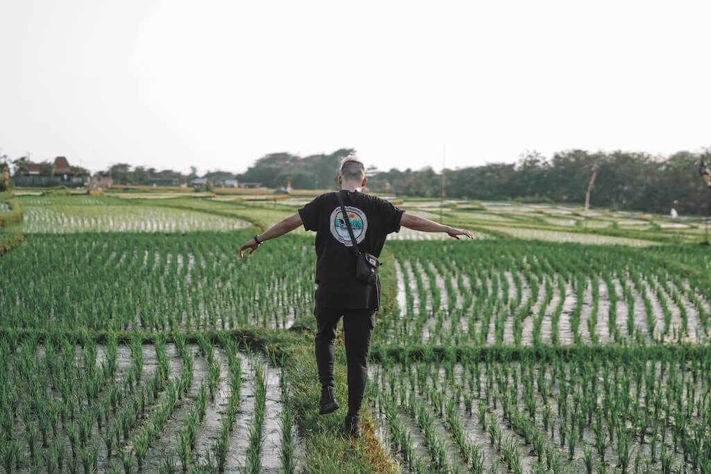 A male solo traveller crosses a rice paddy in Bali, Indonesia.