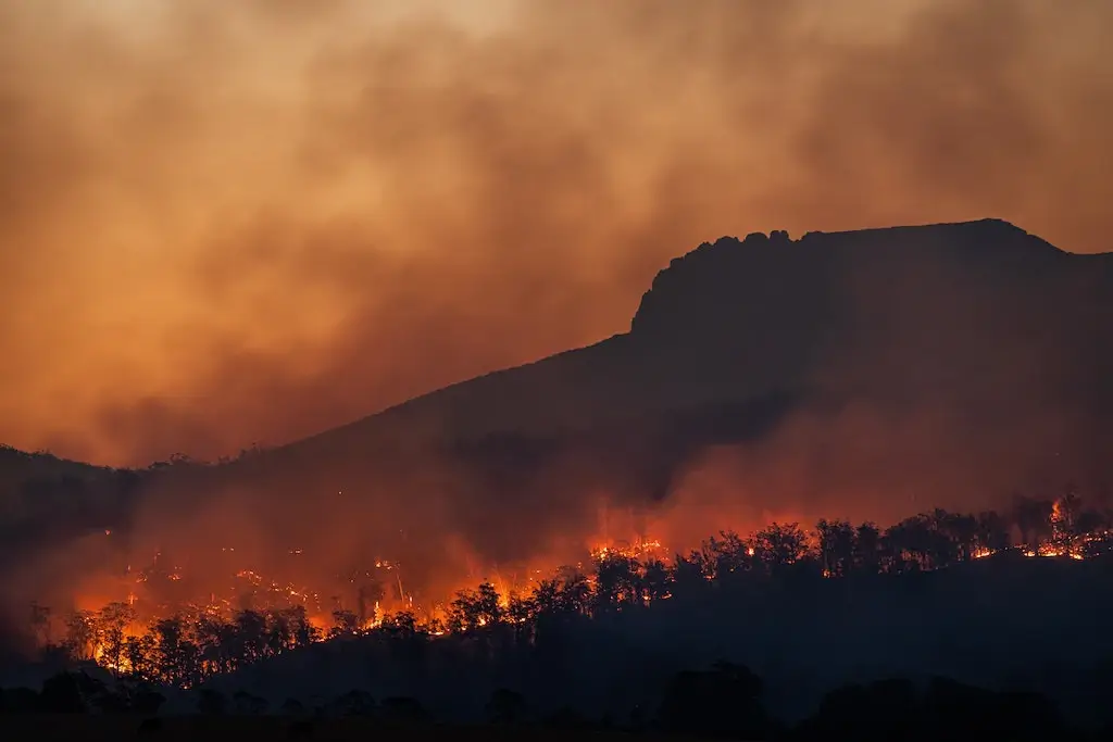 A bushfire burning in Australia.