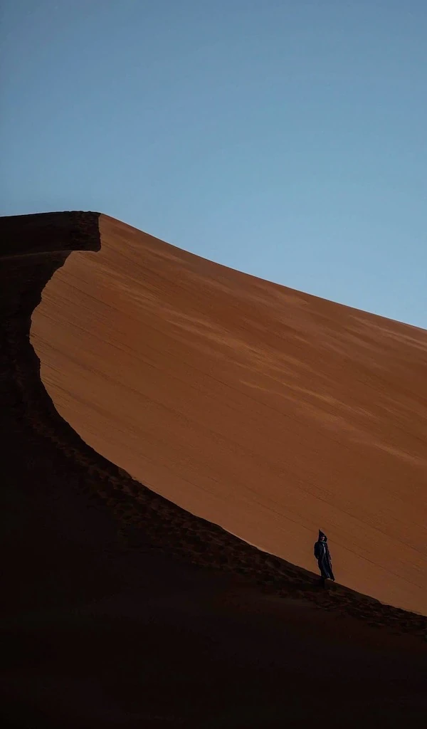 Harry (Nomadic Yak) on a sand dune in the Sahara Desert.