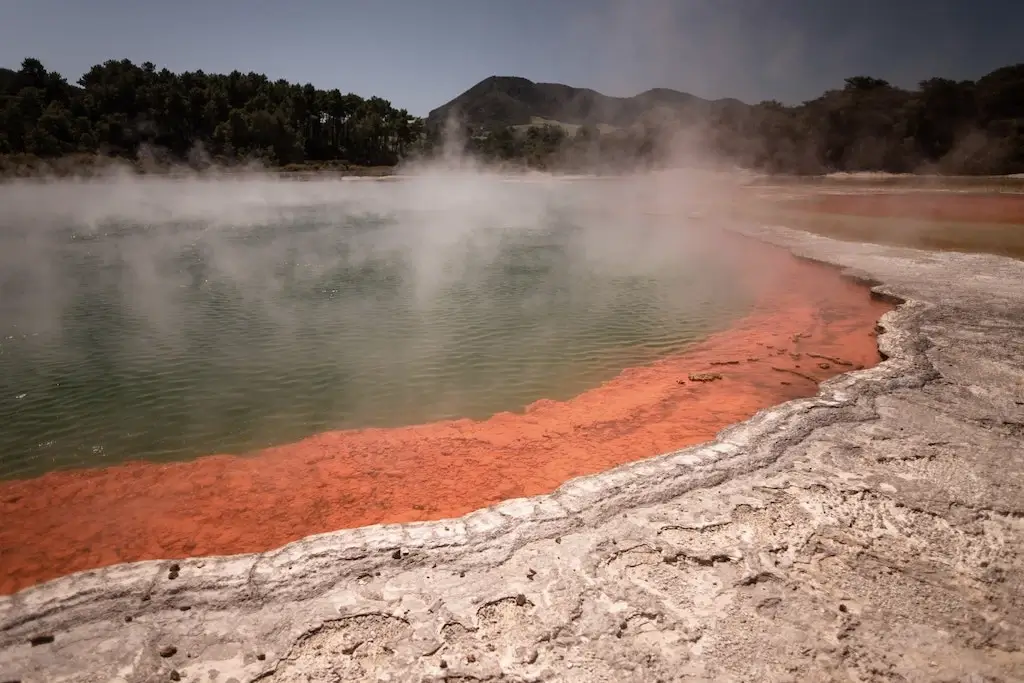 A steaming pool, one of the geothermal wonders in Rotorua, New Zealand.