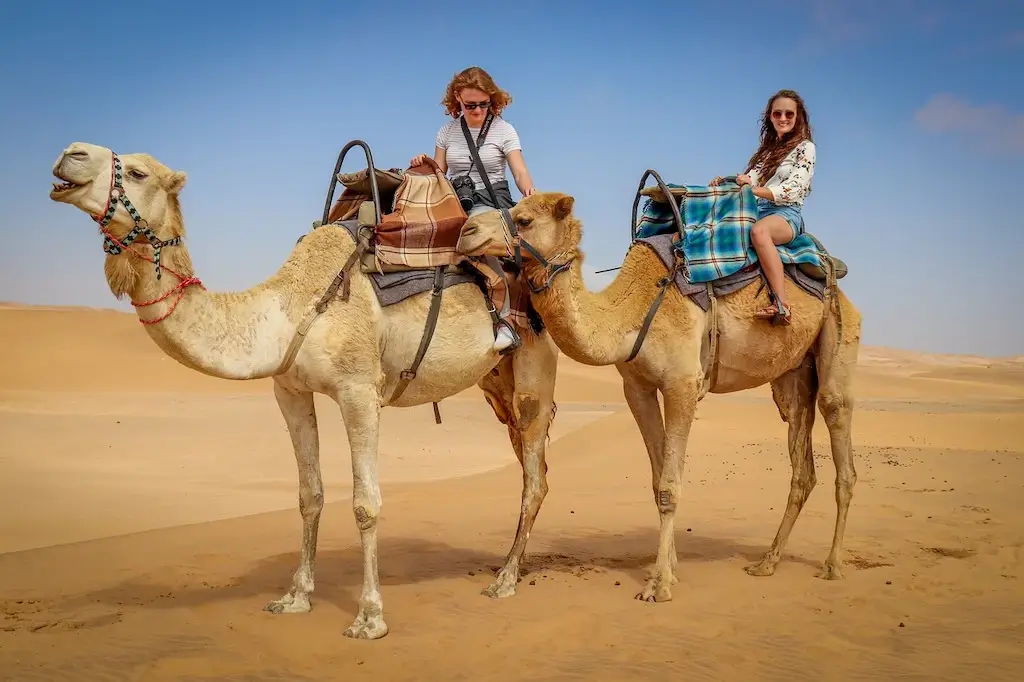Travel friends riding camels in Sahara Desert.