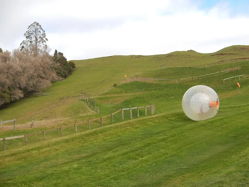 Tourist downhill zorbing in a giant ball.