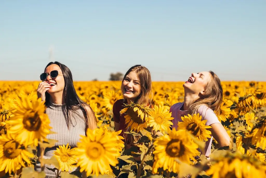 Female friends laughing in a field of sunflowers.
