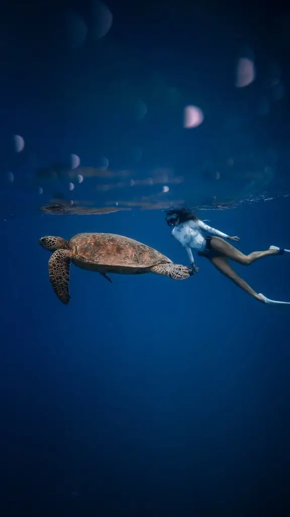 Female tourist snorkelling with a turtle in the ocean.