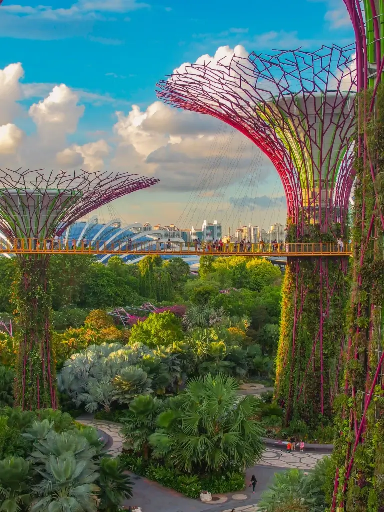 Gardens by the Bay in Singapore. 