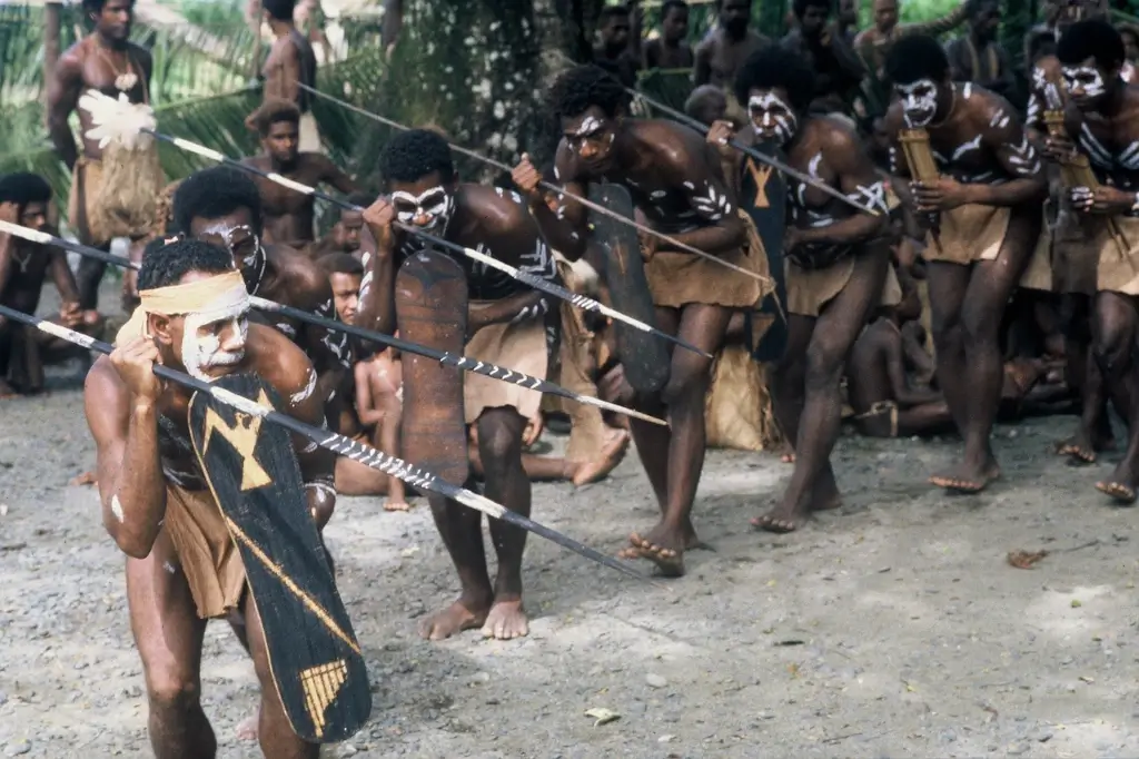 Male warriors performing tribal celebrations in the Solomon Islands. 
